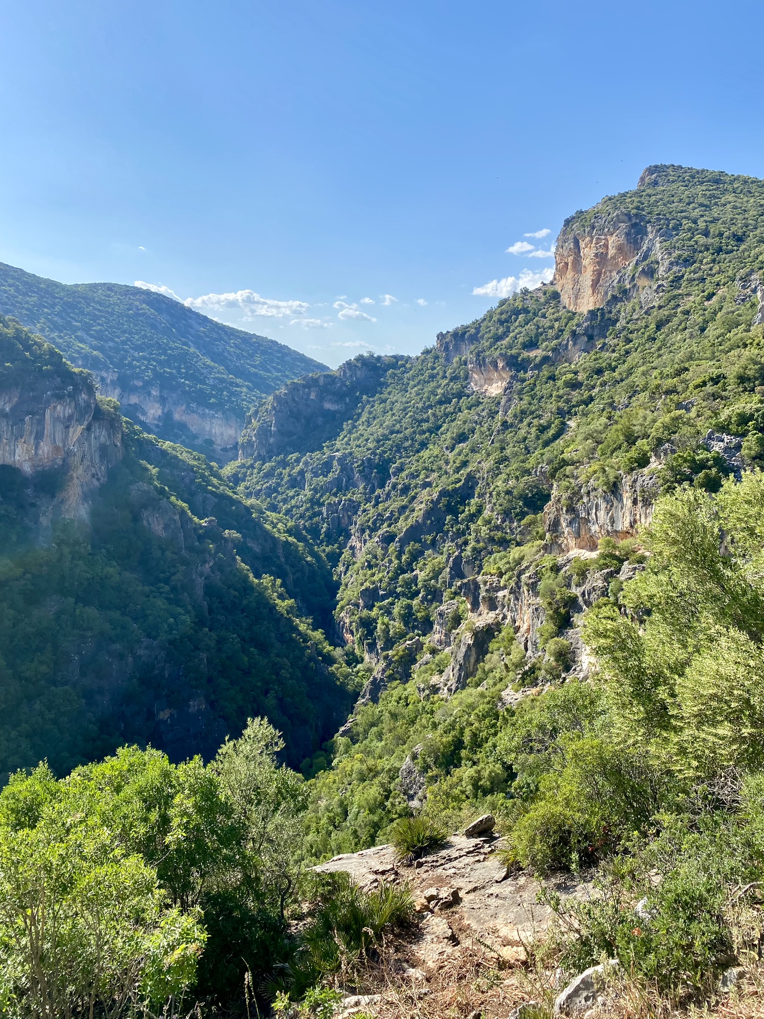 La Garganta Verde scenery