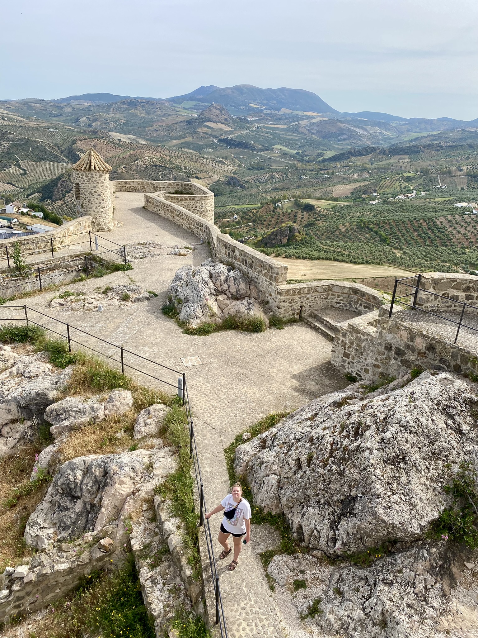 View from the castle rooftop